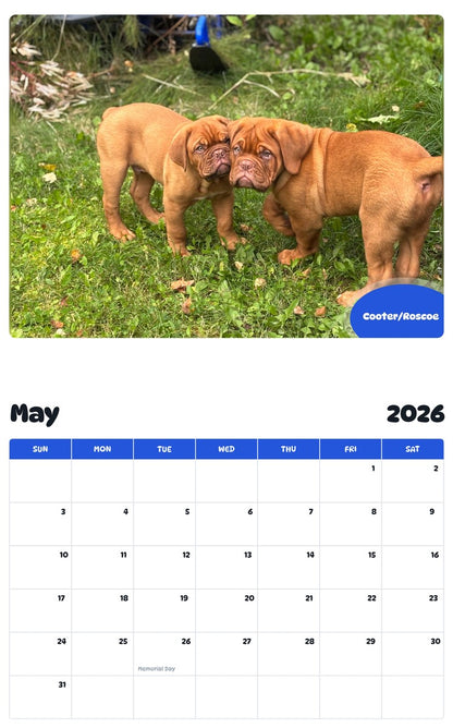2026 - 2027 Cooter/Roscoe - Pawidols Pet Calendar