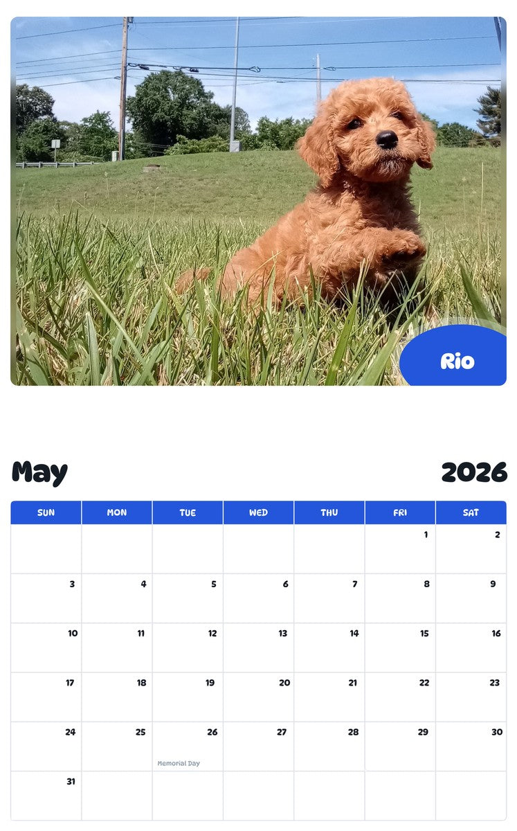 2026 - 2027 Rio - Pawidols Pet Calendar