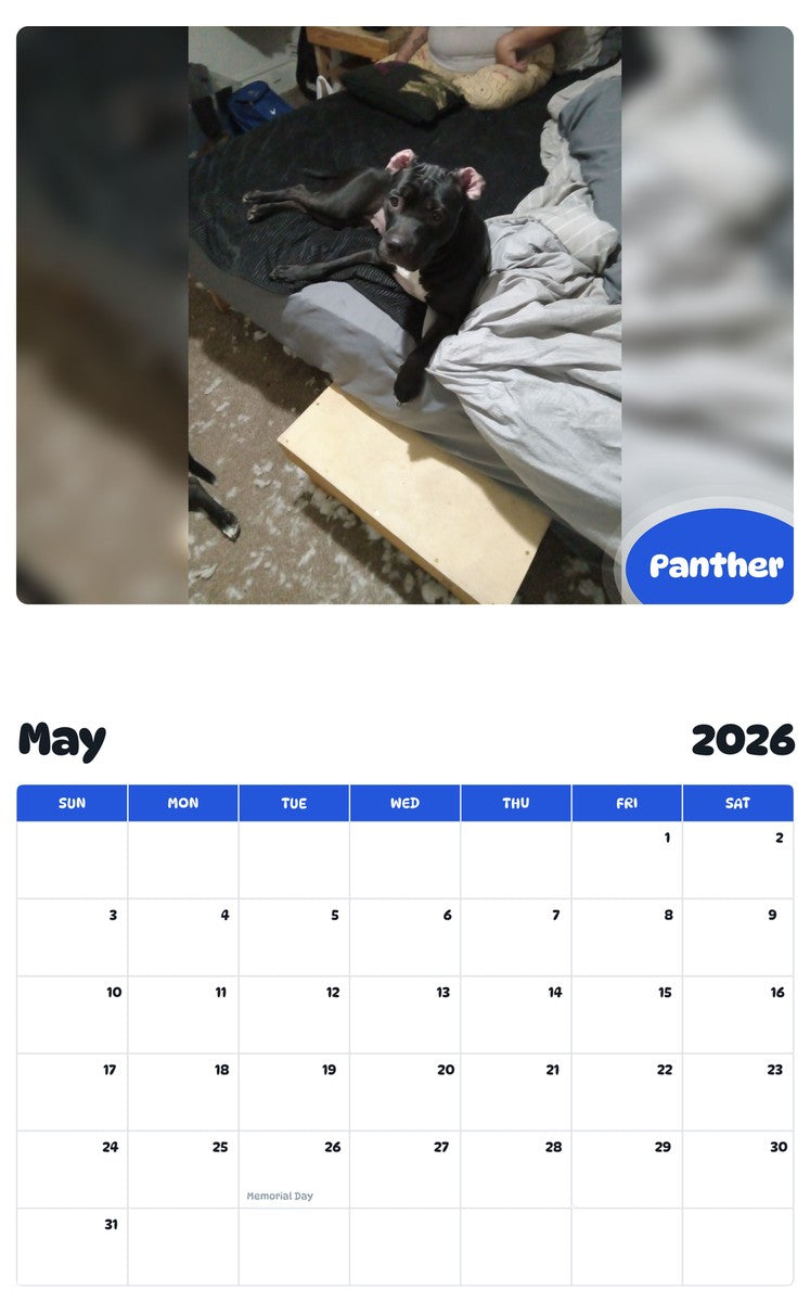 2026 - 2027 Panther - Pawidols Pet Calendar