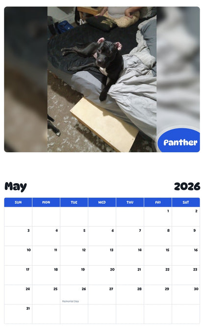 2026 - 2027 Panther - Pawidols Pet Calendar