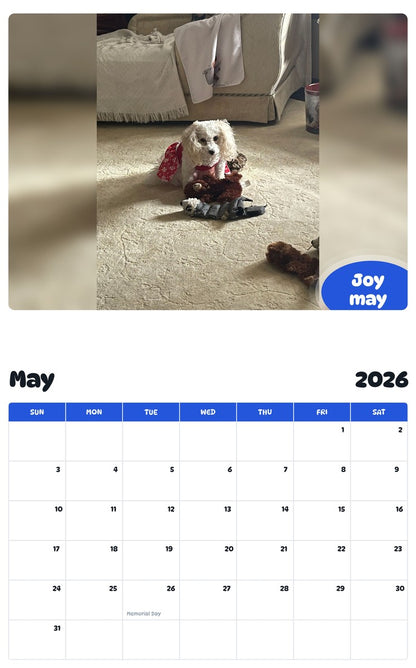 2026 - 2027 Joy may - Pawidols Pet Calendar