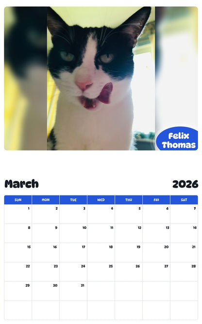 November 2025 - October 2026 Felix Thomas - Pawidols Pet Calendar
