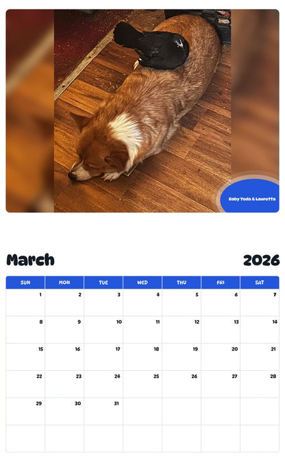 November 2025 - October 2026 Baby Yoda & Lauretta - Pawidols Pet Calendar