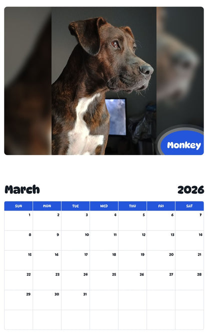 November 2025 - October 2026 Monkey - Pawidols Pet Calendar