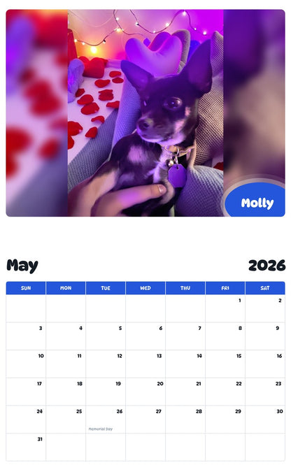 2026 - 2027 Molly - Pawidols Pet Calendar