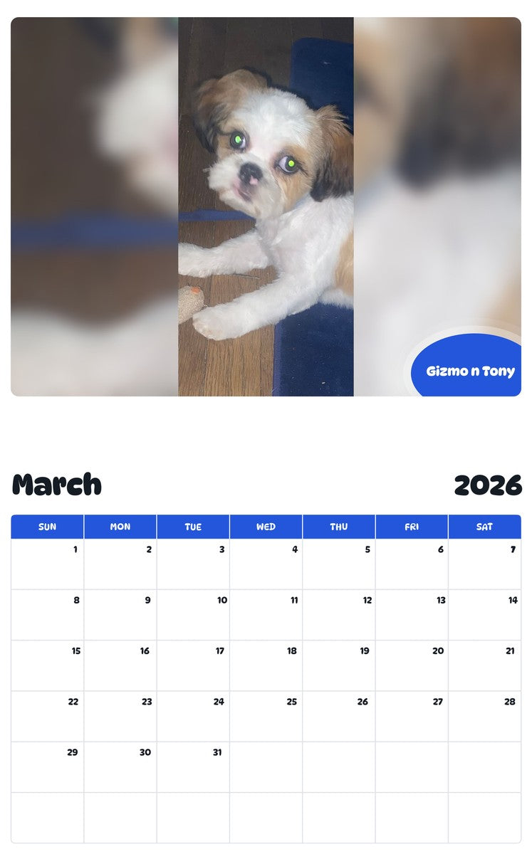 November 2025 - October 2026 Gizmo n Tony - Pawidols Pet Calendar