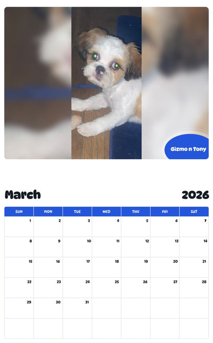 November 2025 - October 2026 Gizmo n Tony - Pawidols Pet Calendar