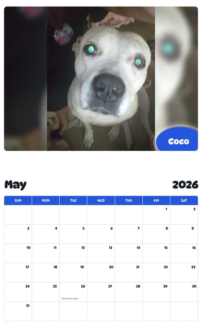 2026 - 2027 Coco - Pawidols Pet Calendar