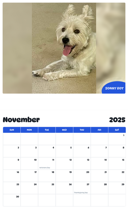 July 2025 - June 2026 Sonny Boy - Pawidols Pet Calendar