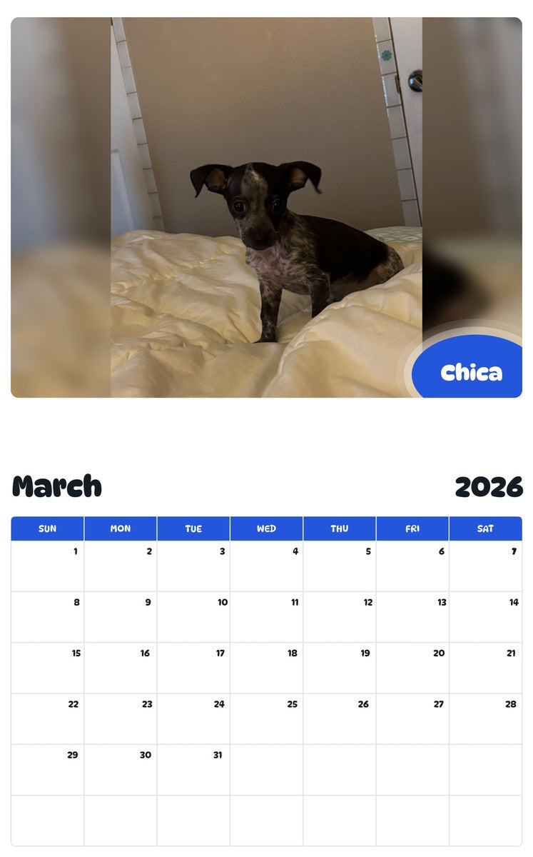 November 2025 - October 2026 Chica - Pawidols Pet Calendar