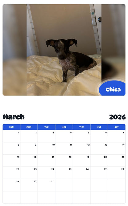 November 2025 - October 2026 Chica - Pawidols Pet Calendar