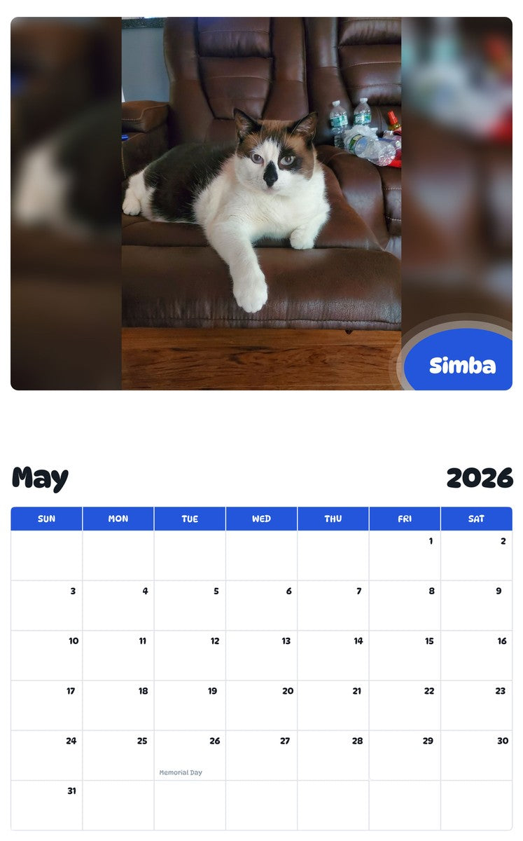 2026 - 2027 Simba - Pawidols Pet Calendar