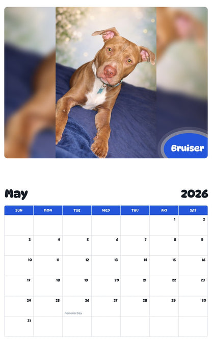 2026 - 2027 Bruiser - Pawidols Pet Calendar