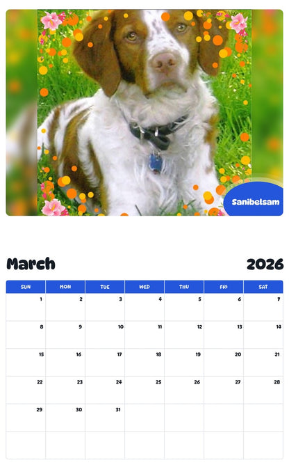 November 2025 - October 2026 Sanibelsam - Pawidols Pet Calendar