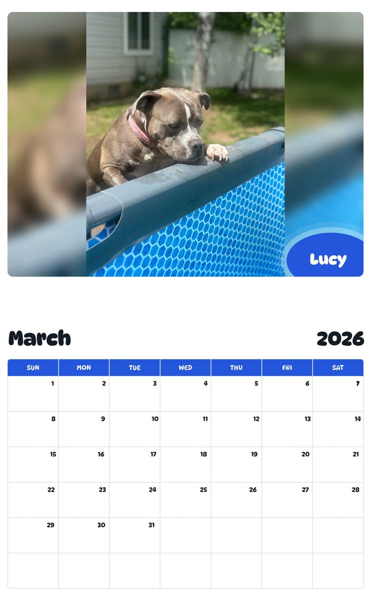 November 2025 - October 2026 Lucy - Pawidols Pet Calendar