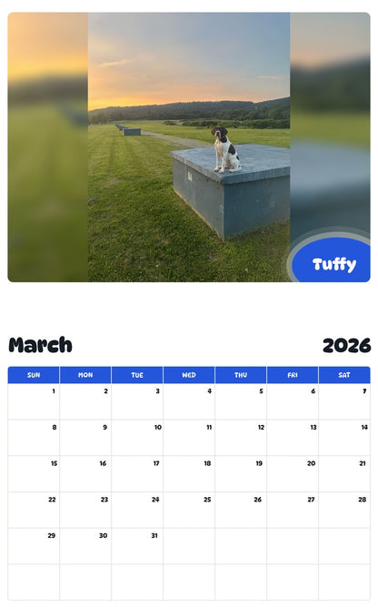 November 2025 - October 2026 Tuffy - Pawidols Pet Calendar