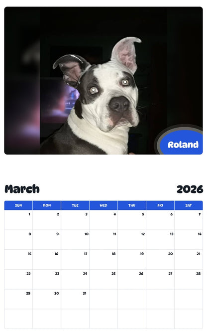November 2025 - October 2026 Roland - Pawidols Pet Calendar