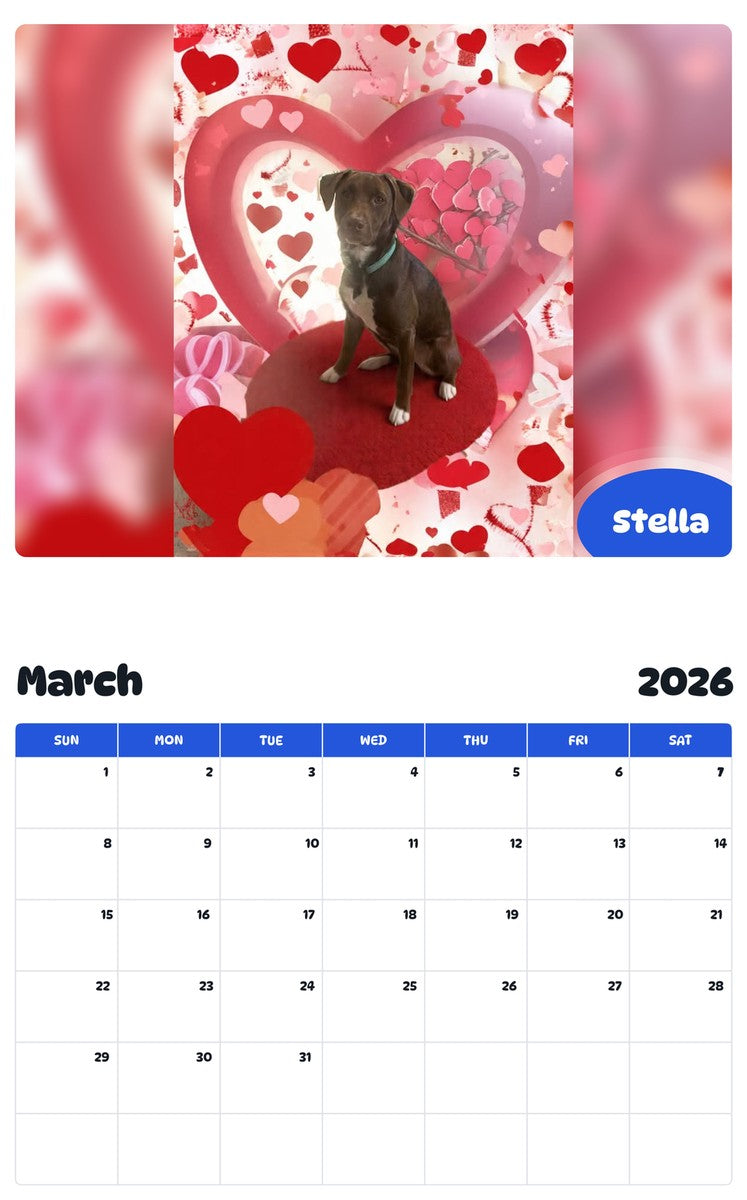 November 2025 - October 2026 Stella - Pawidols Pet Calendar