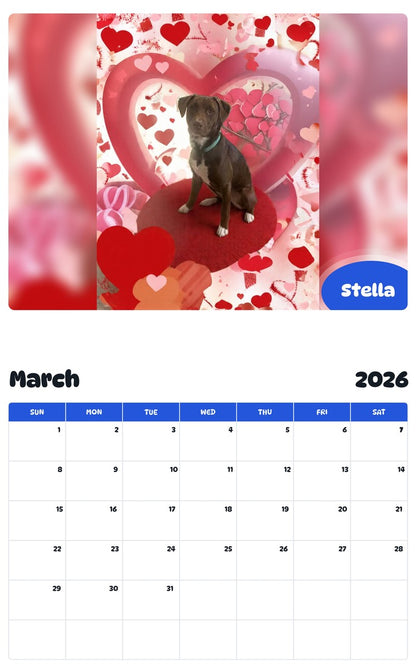 November 2025 - October 2026 Stella - Pawidols Pet Calendar