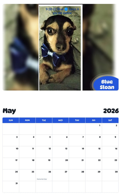 2026 - 2027 Blue Sloan - Pawidols Pet Calendar