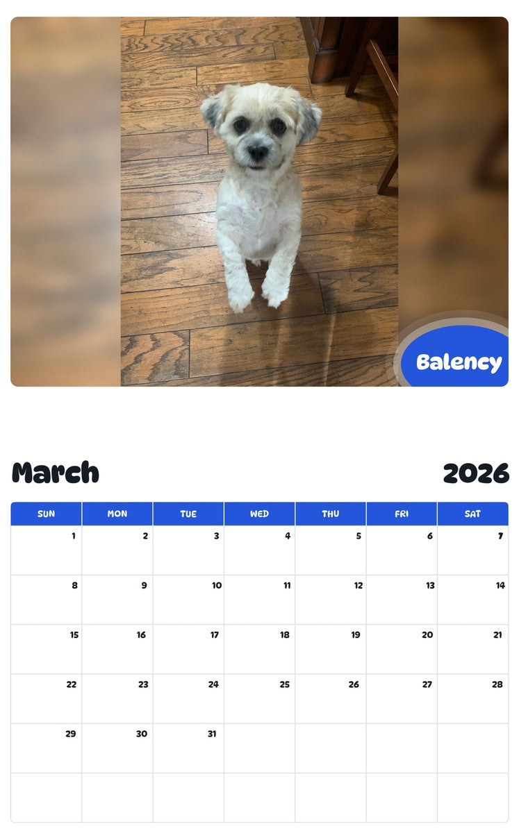 November 2025 - October 2026 Balency - Pawidols Pet Calendar