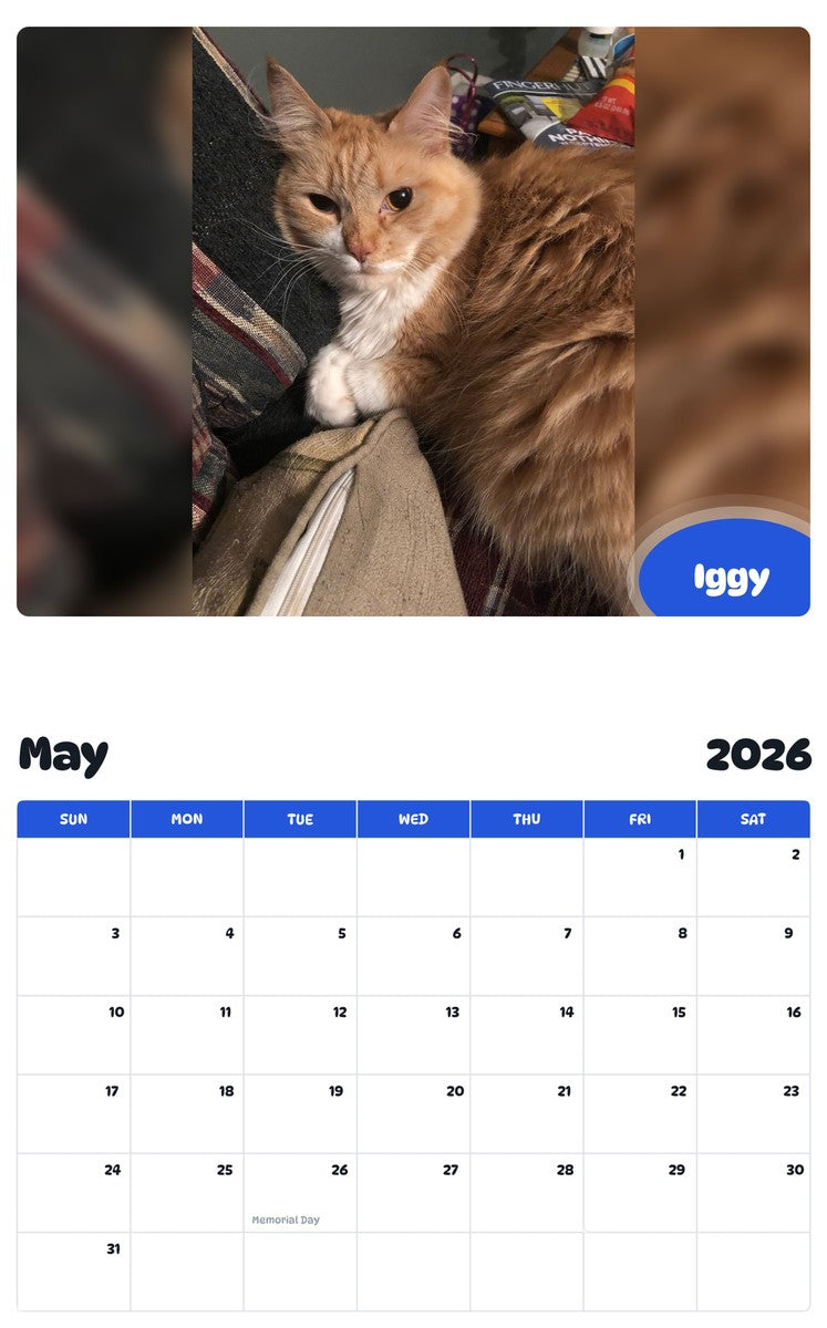2026 - 2027 Iggy - Pawidols Pet Calendar