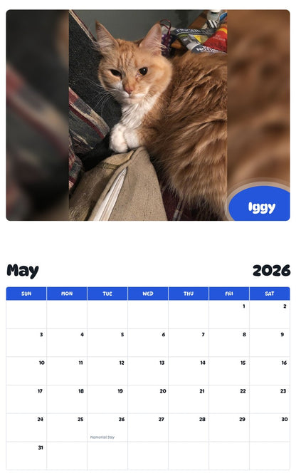 2026 - 2027 Iggy - Pawidols Pet Calendar