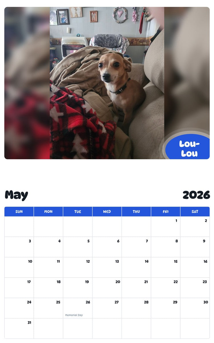 2026 - 2027 Lou-Lou - Pawidols Pet Calendar