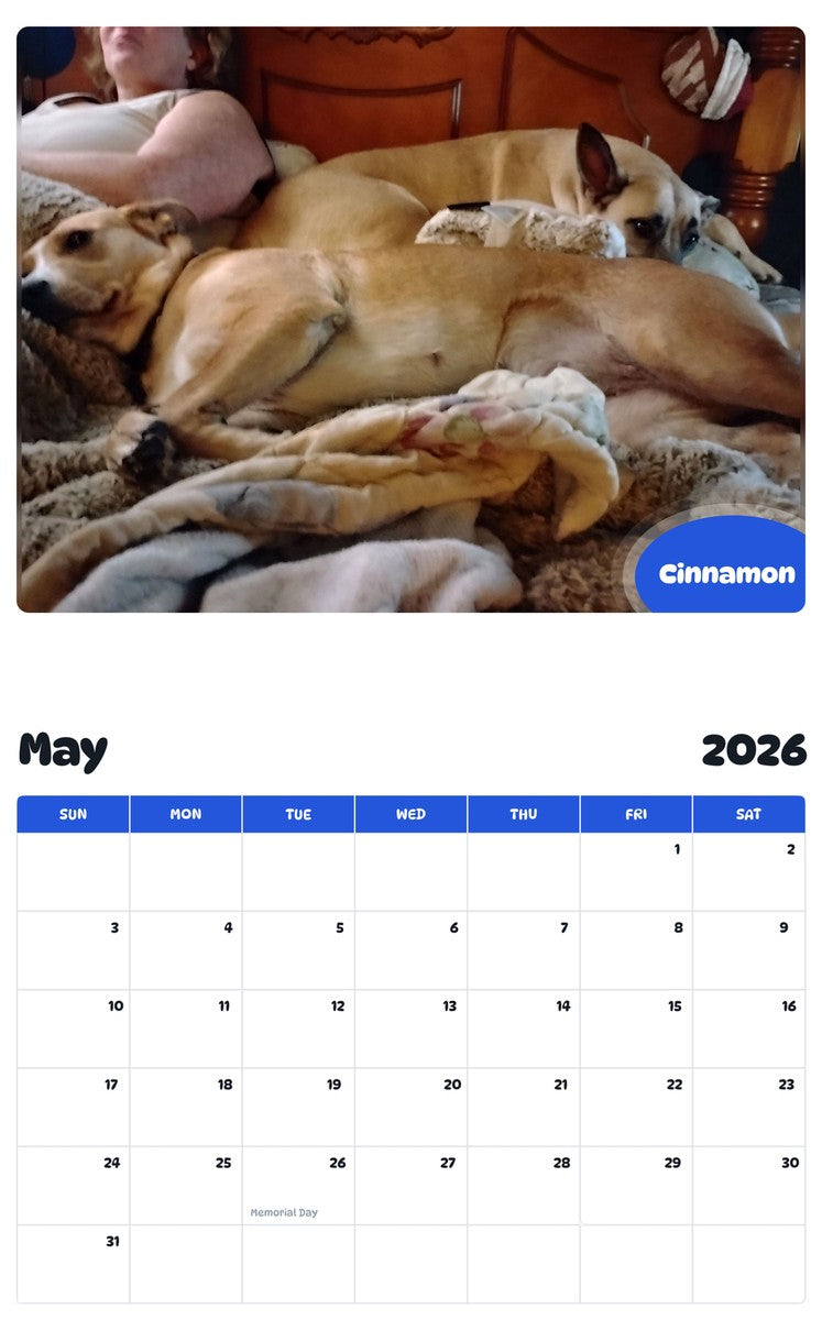 2026 - 2027 Cinnamon - Pawidols Pet Calendar