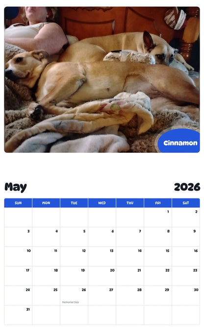 2026 - 2027 Cinnamon - Pawidols Pet Calendar