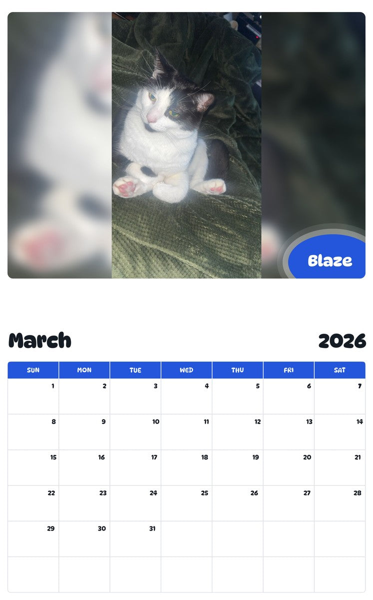 November 2025 - October 2026 Blaze - Pawidols Pet Calendar
