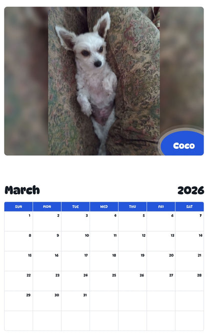 November 2025 - October 2026 Coco - Pawidols Pet Calendar