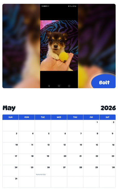 2026 - 2027 Bolt - Pawidols Pet Calendar