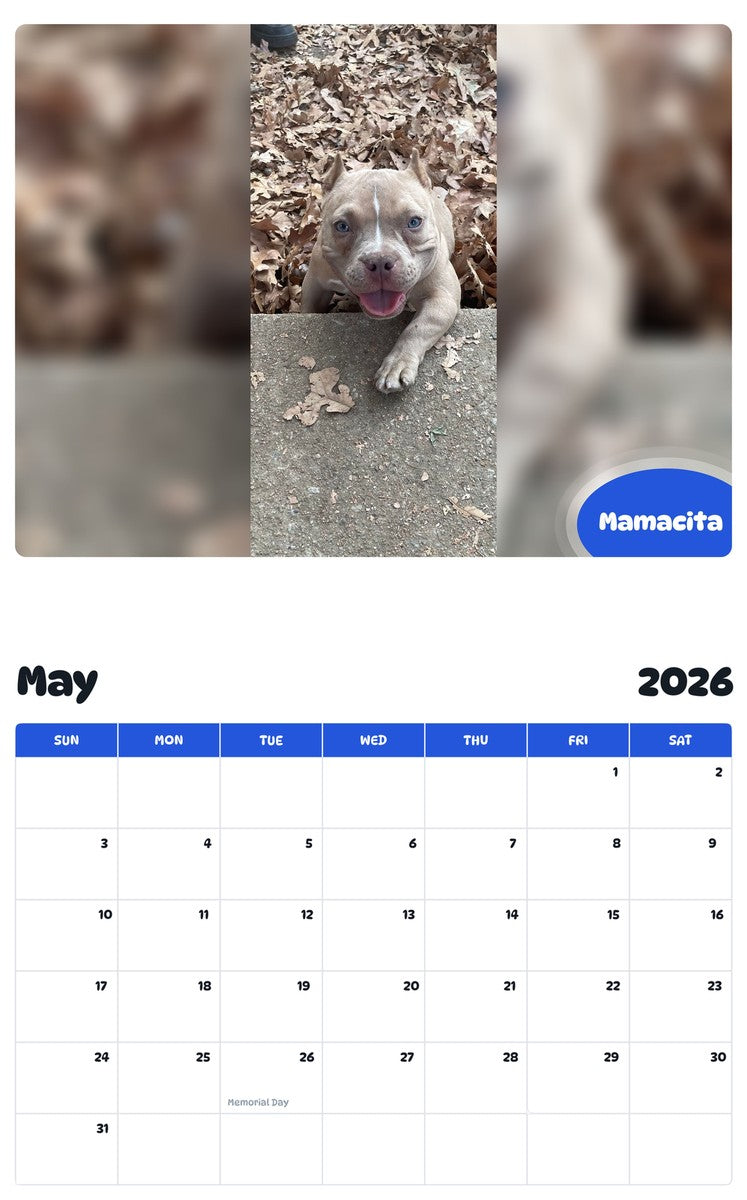 2026 - 2027 Mamacita - Pawidols Pet Calendar