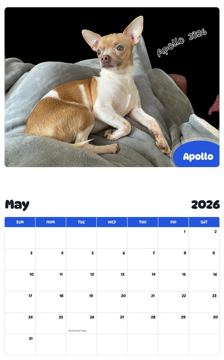 2026 - 2027 Apollo - Pawidols Pet Calendar