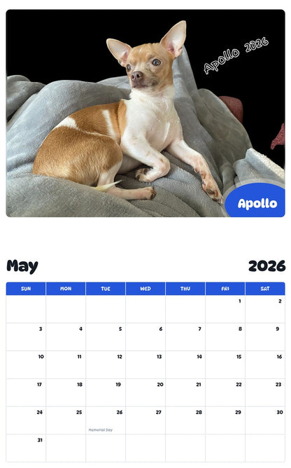 2026 - 2027 Apollo - Pawidols Pet Calendar