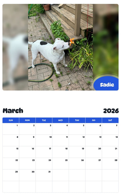 November 2025 - October 2026 Sadie - Pawidols Pet Calendar