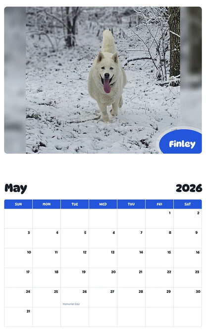 2026 - 2027 Finley - Pawidols Pet Calendar