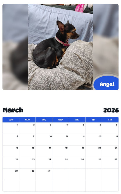 November 2025 - October 2026 Angel - Pawidols Pet Calendar