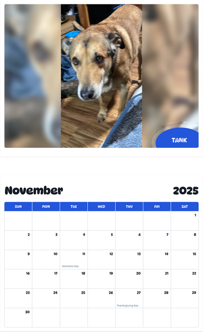 July 2025 - June 2026 Tank - Pawidols Pet Calendar