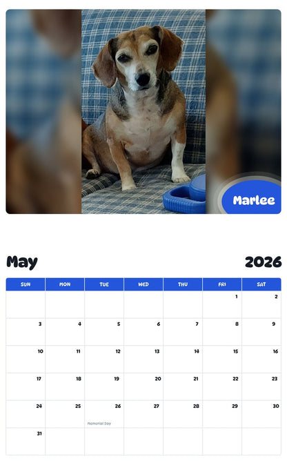 2026 - 2027 Marlee - Pawidols Pet Calendar