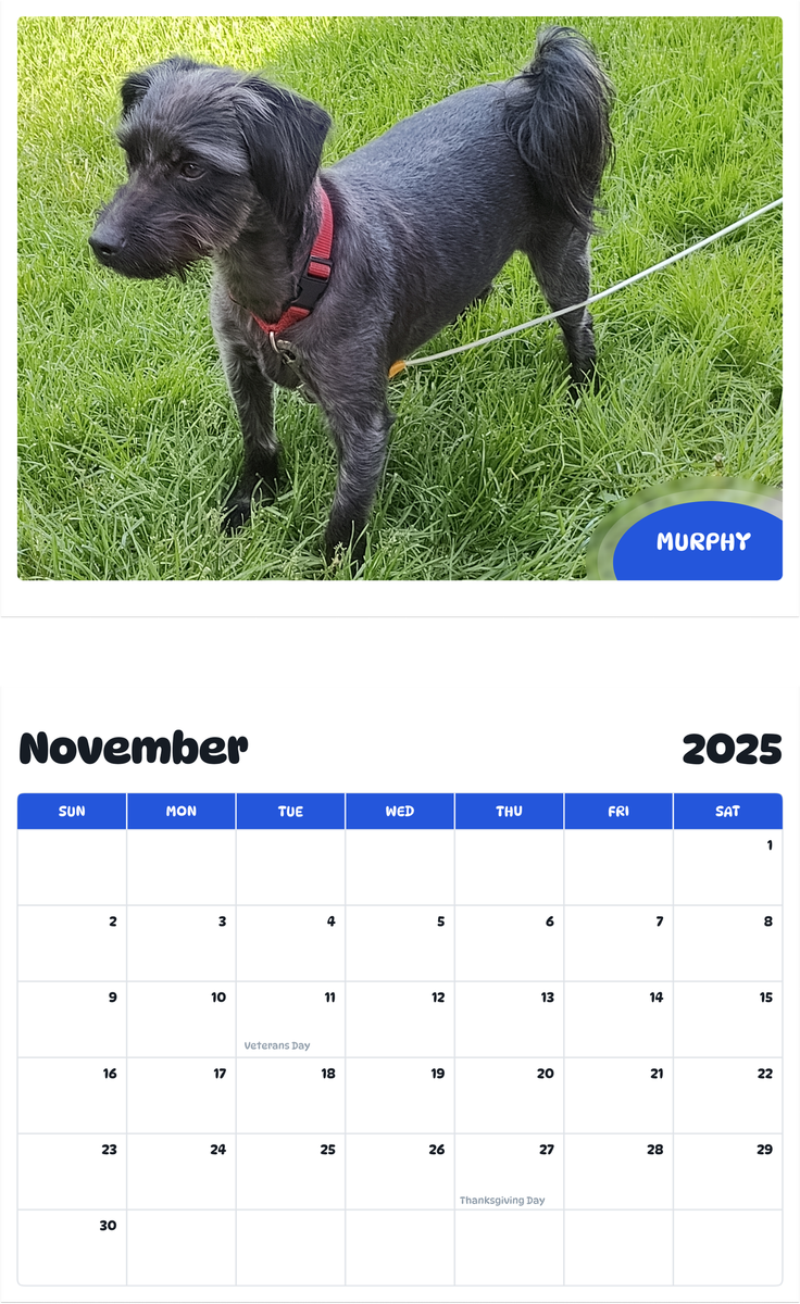 July 2025 - June 2026 Murphy - Pawidols Pet Calendar