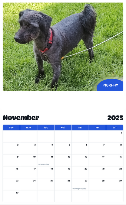 July 2025 - June 2026 Murphy - Pawidols Pet Calendar