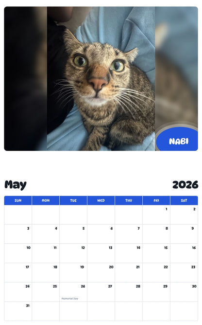 2026 - 2027 NABI - Pawidols Pet Calendar