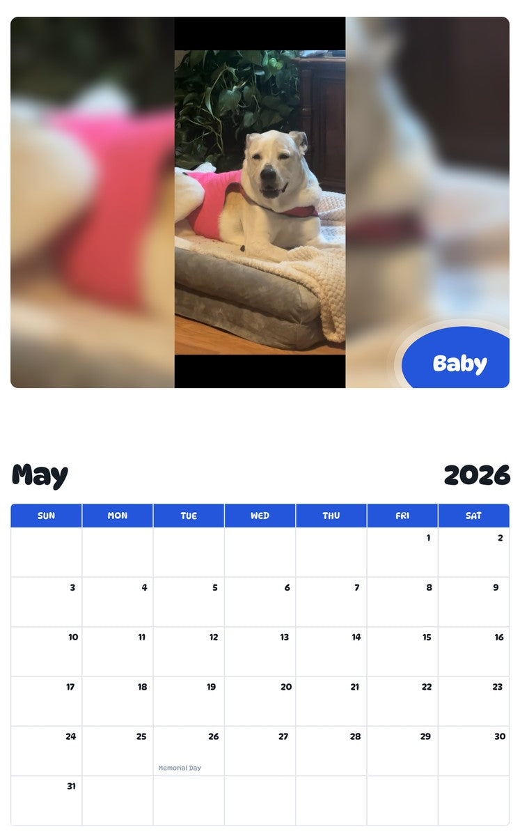2026 - 2027 Baby - Pawidols Pet Calendar