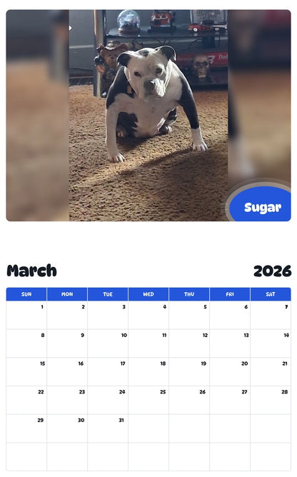 November 2025 - October 2026 Sugar - Pawidols Pet Calendar