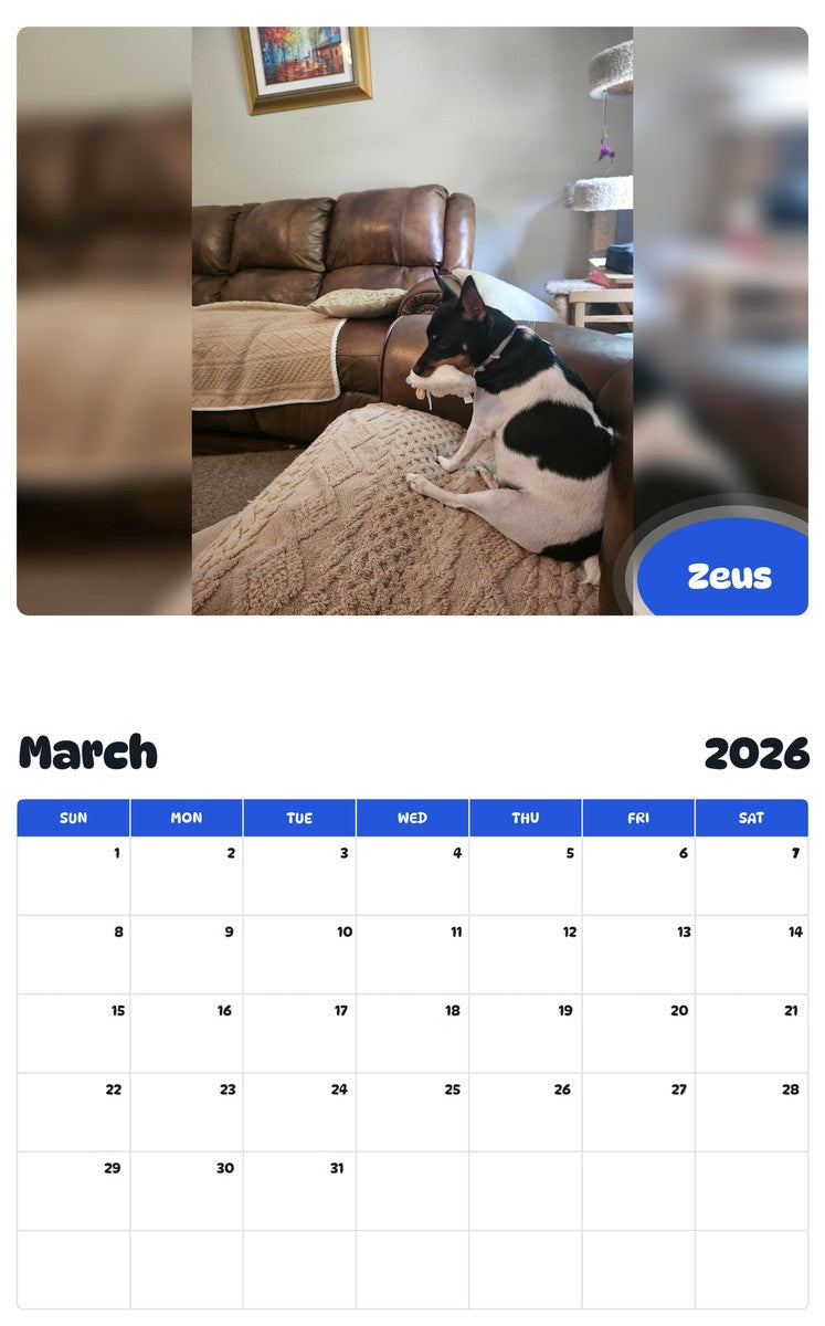 November 2025 - October 2026 Zeus - Pawidols Pet Calendar