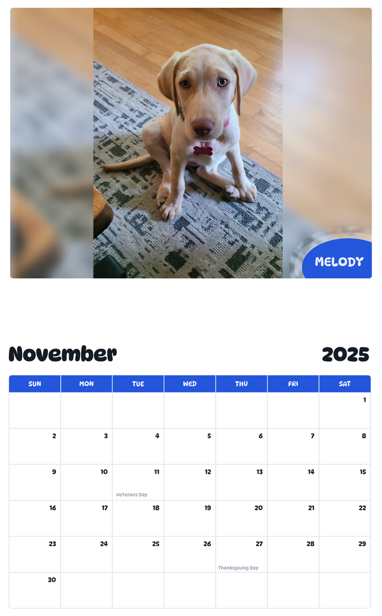 July 2025 - June 2026 Melody - Pawidols Pet Calendar