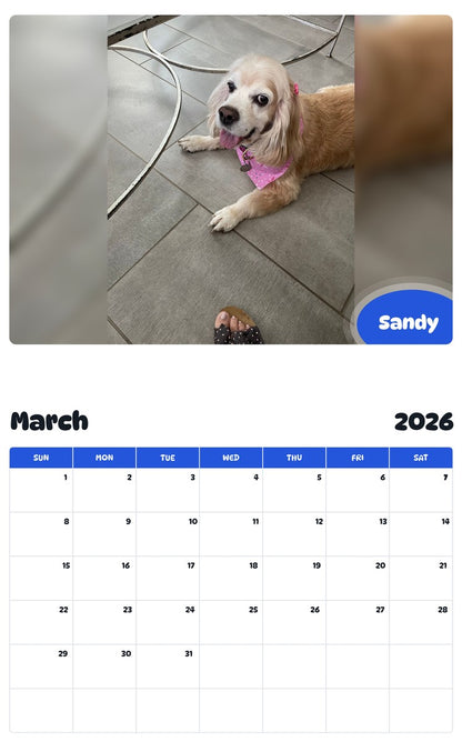 November 2025 - October 2026 Sandy - Pawidols Pet Calendar