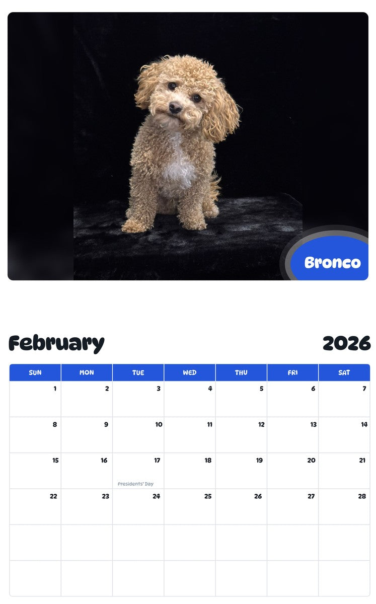 October 2025 - September 2026 Bronco - Pawidols Pet Calendar